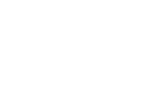 sonydig